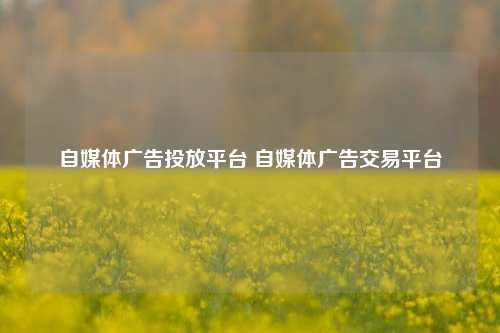 自媒体广告投放平台 自媒体广告交易平台