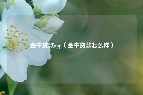 金牛贷款app（金牛贷款怎么样）