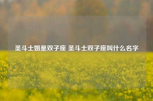 圣斗士姐是双子座 圣斗士双子座叫什么名字