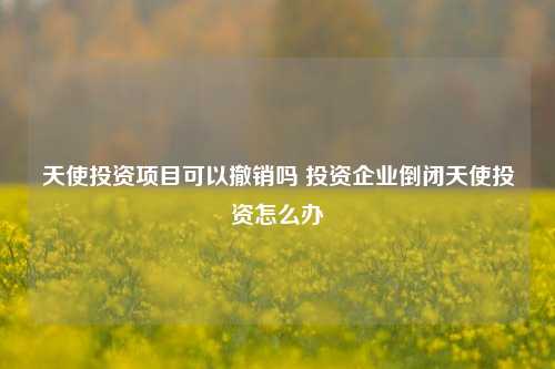 天使投资项目可以撤销吗 投资企业倒闭天使投资怎么办