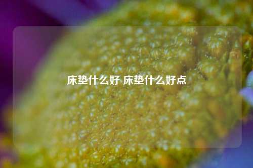 床垫什么好 床垫什么好点