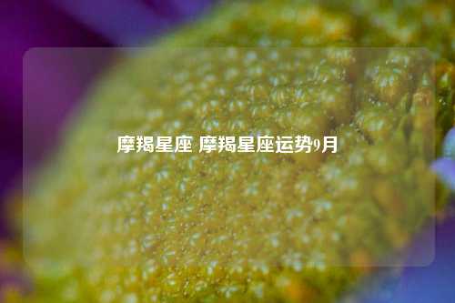 摩羯星座 摩羯星座运势9月