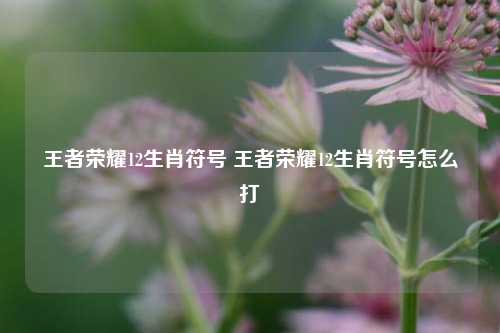 王者荣耀12生肖符号 王者荣耀12生肖符号怎么打