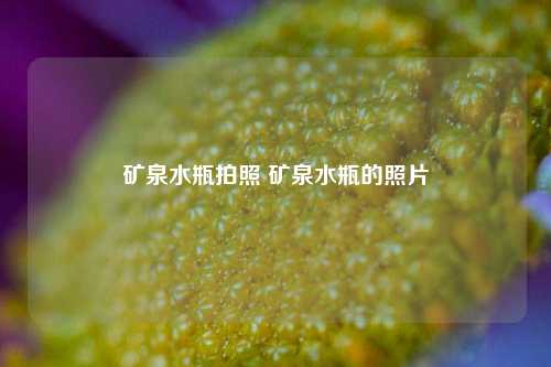 矿泉水瓶拍照 矿泉水瓶的照片