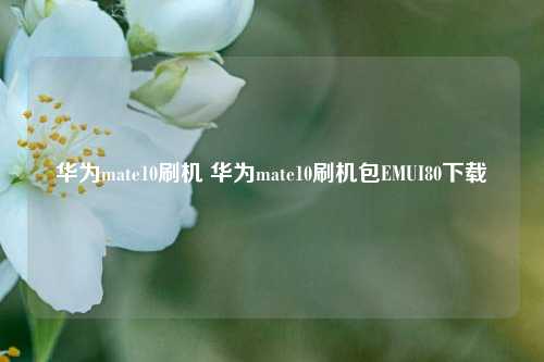 华为mate10刷机 华为mate10刷机包EMUI80下载