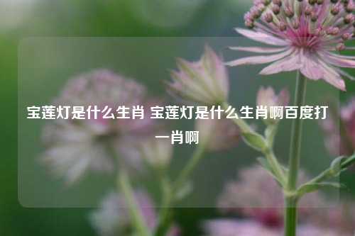 宝莲灯是什么生肖 宝莲灯是什么生肖啊百度打一肖啊