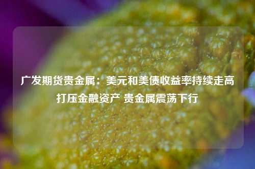 广发期货贵金属：美元和美债收益率持续走高打压金融资产 贵金属震荡下行