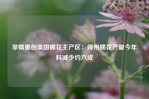 旱情重创美国棉花主产区：得州棉花产量今年料减少约六成