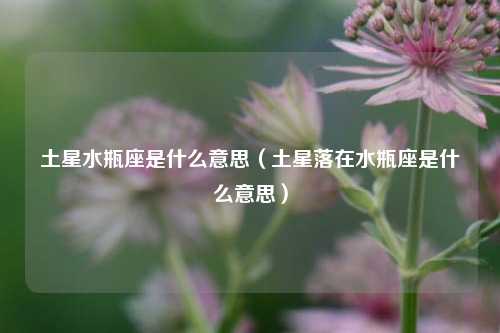 土星水瓶座是什么意思（土星落在水瓶座是什么意思）