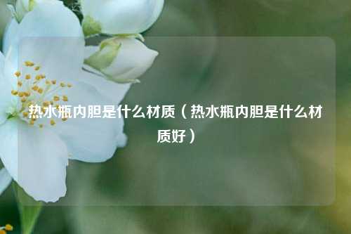 热水瓶内胆是什么材质（热水瓶内胆是什么材质好）