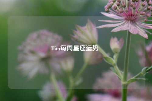 Tim每周星座运势 