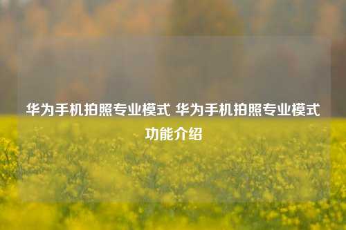 华为手机拍照专业模式 华为手机拍照专业模式功能介绍