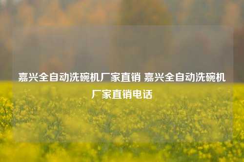 嘉兴全自动洗碗机厂家直销 嘉兴全自动洗碗机厂家直销电话