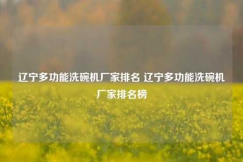 辽宁多功能洗碗机厂家排名 辽宁多功能洗碗机厂家排名榜