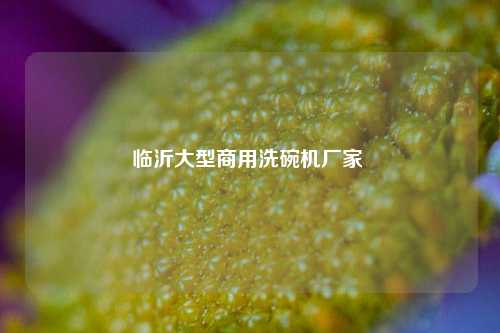 临沂大型商用洗碗机厂家 