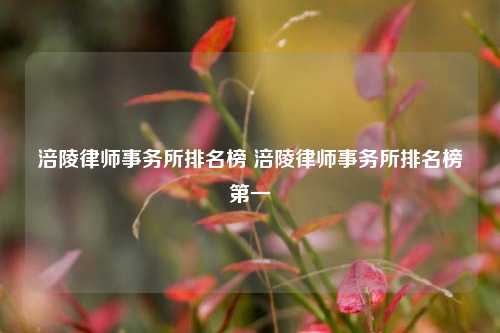 涪陵律师事务所排名榜 涪陵律师事务所排名榜第一