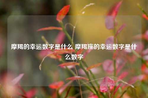 摩羯的幸运数字是什么 摩羯座的幸运数字是什么数字