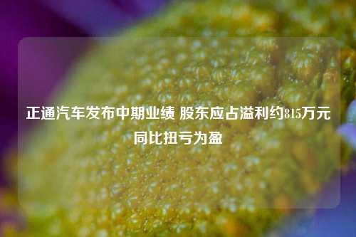 正通汽车发布中期业绩 股东应占溢利约815万元同比扭亏为盈