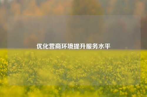 优化营商环境提升服务水平