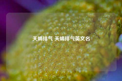 天蝎排气 天蝎排气英文名