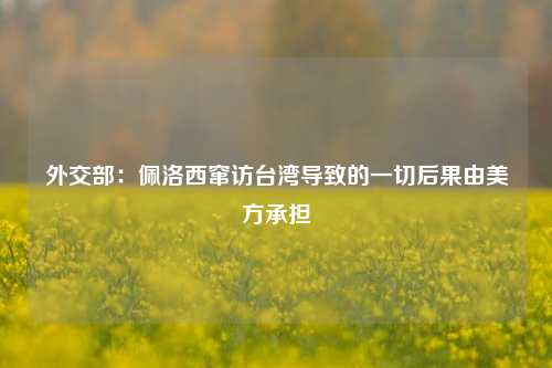 外交部：佩洛西窜访台湾导致的一切后果由美方承担