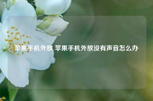 苹果手机外放 苹果手机外放没有声音怎么办