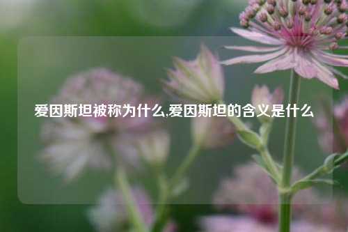 爱因斯坦被称为什么,爱因斯坦的含义是什么