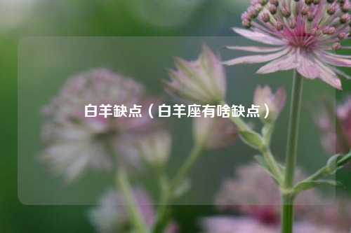 白羊缺点（白羊座有啥缺点）