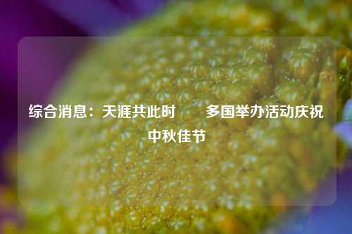 综合消息：天涯共此时――多国举办活动庆祝中秋佳节