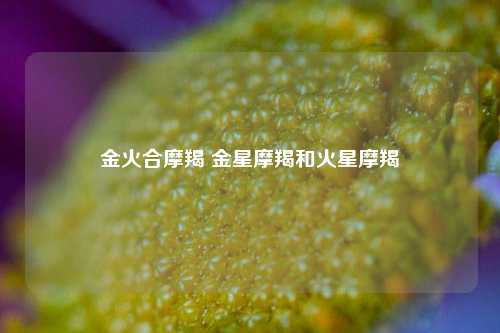 金火合摩羯 金星摩羯和火星摩羯