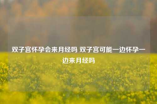 双子宫怀孕会来月经吗 双子宫可能一边怀孕一边来月经吗