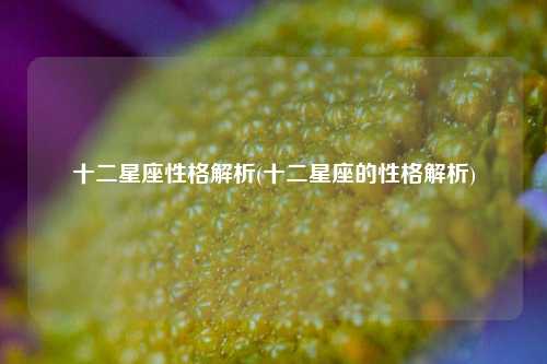 十二星座性格解析(十二星座的性格解析)