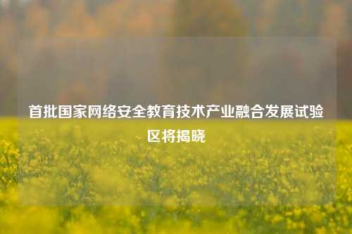 首批国家网络安全教育技术产业融合发展试验区将揭晓