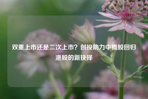 双重上市还是二次上市？创投助力中概股回归港股的新抉择