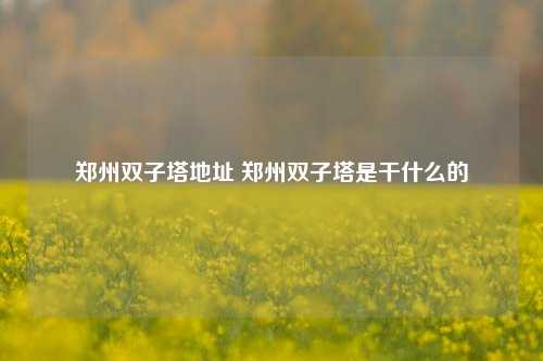 郑州双子塔地址 郑州双子塔是干什么的