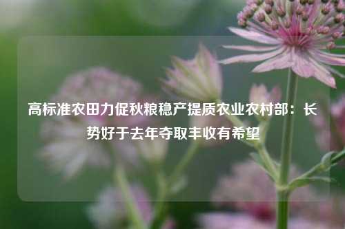 高标准农田力促秋粮稳产提质农业农村部：长势好于去年夺取丰收有希望