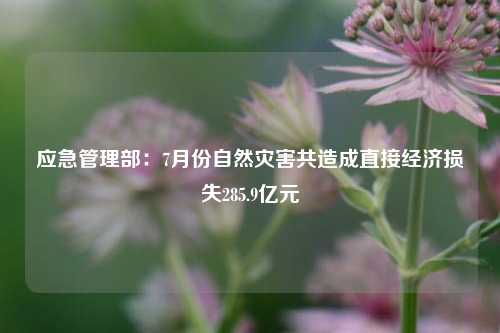 应急管理部：7月份自然灾害共造成直接经济损失285.9亿元