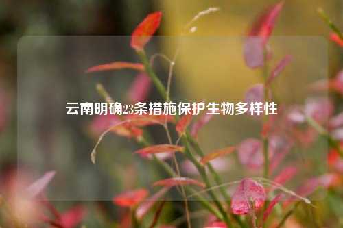 云南明确23条措施保护生物多样性