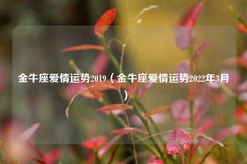 金牛座爱情运势2019（金牛座爱情运势2022年3月）