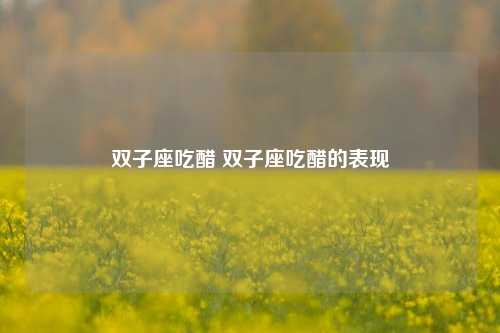 双子座吃醋 双子座吃醋的表现