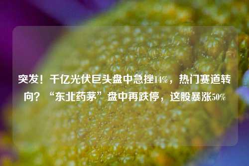 突发！千亿光伏巨头盘中急挫14%，热门赛道转向？“东北药茅”盘中再跌停，这股暴涨50%