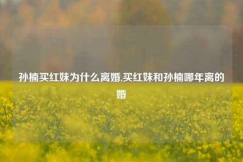 孙楠买红妹为什么离婚,买红妹和孙楠哪年离的婚