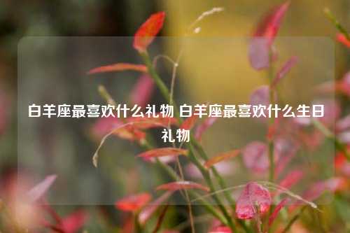 白羊座最喜欢什么礼物 白羊座最喜欢什么生日礼物