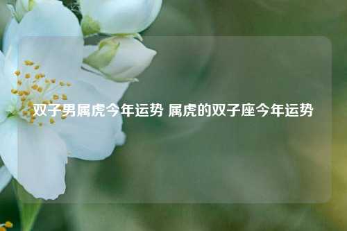 双子男属虎今年运势 属虎的双子座今年运势