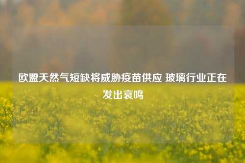 欧盟天然气短缺将威胁疫苗供应 玻璃行业正在发出哀鸣