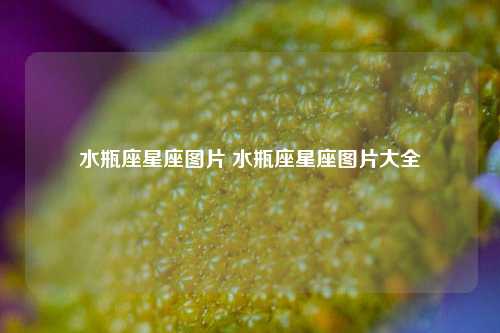 水瓶座星座图片 水瓶座星座图片大全