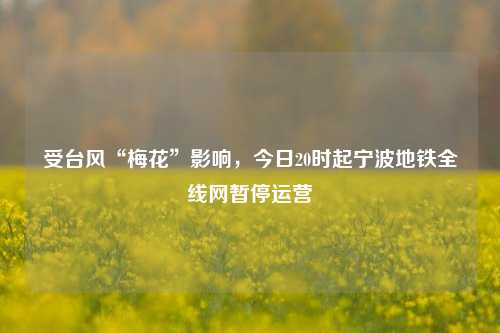 受台风“梅花”影响，今日20时起宁波地铁全线网暂停运营