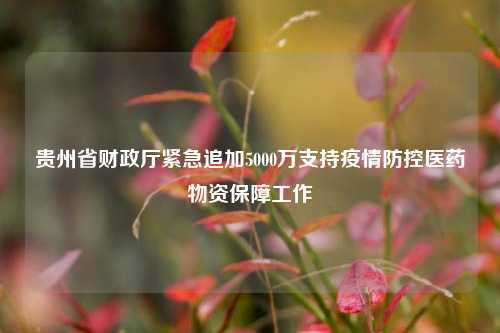 贵州省财政厅紧急追加5000万支持疫情防控医药物资保障工作