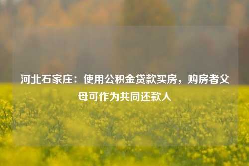 河北石家庄：使用公积金贷款买房，购房者父母可作为共同还款人