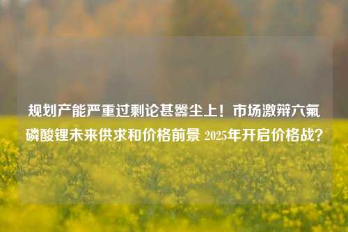 规划产能严重过剩论甚嚣尘上！市场激辩六氟磷酸锂未来供求和价格前景 2025年开启价格战？